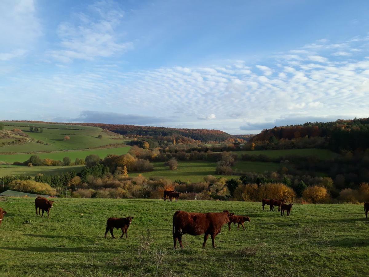 Gite Aux Lauriers Lacroix-sur-Meuse Exteriér fotografie